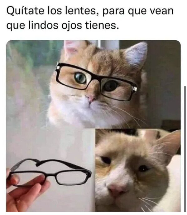 Meme_otros - Se ven mejor tras las lupas