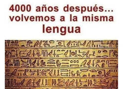 Enlace a Hemos vuelto a los dibujitos