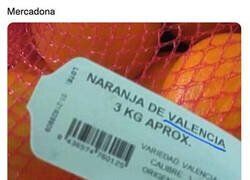 Enlace a Típicas naranjas egipcias de Valencia