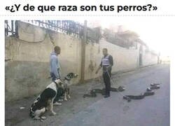 Enlace a ¿Eso es legal?