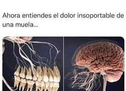 Enlace a Todo está conectado