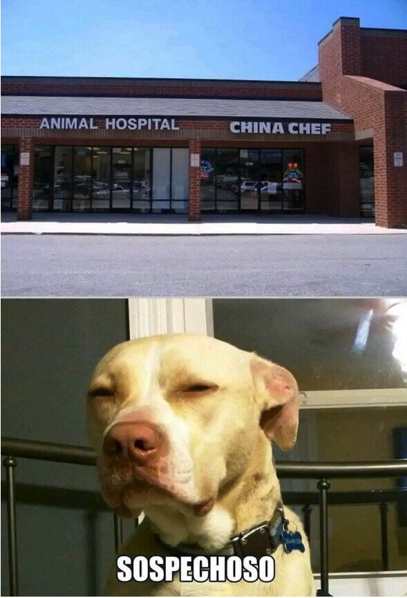 Meme_otros - Yo no comería en ese chino