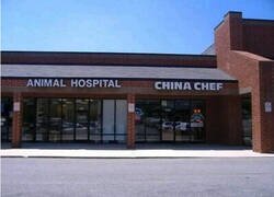 Enlace a Yo no comería en ese chino