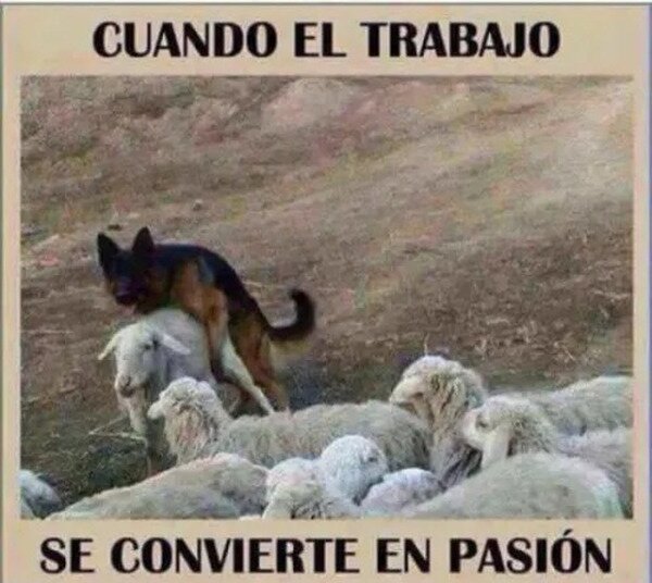 Meme_otros - Dónde tengas la olla...