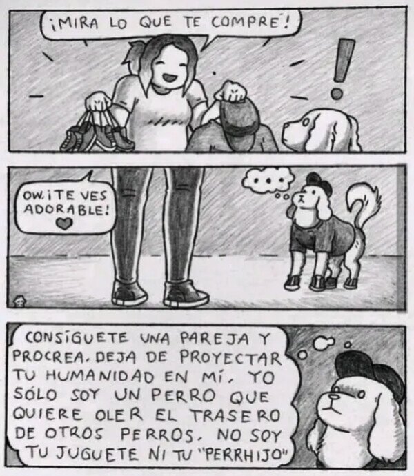 Otros - Lo que tu perro con ropa piensa de ti