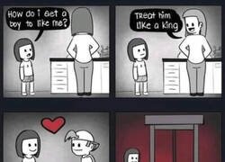 Enlace a Trátalo como un Rey