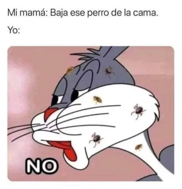 Meme_otros - Aunque me coman las pulgas