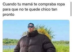 Enlace a Ropa anchísima