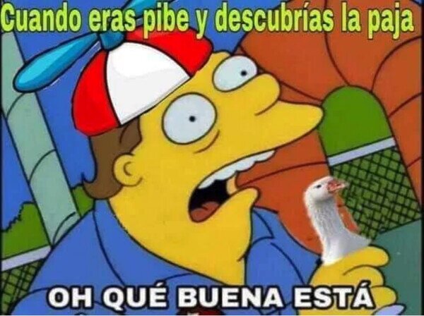 Otros - Descubriendo el cuerpo humano