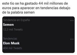 Enlace a Buena inversión, Elon