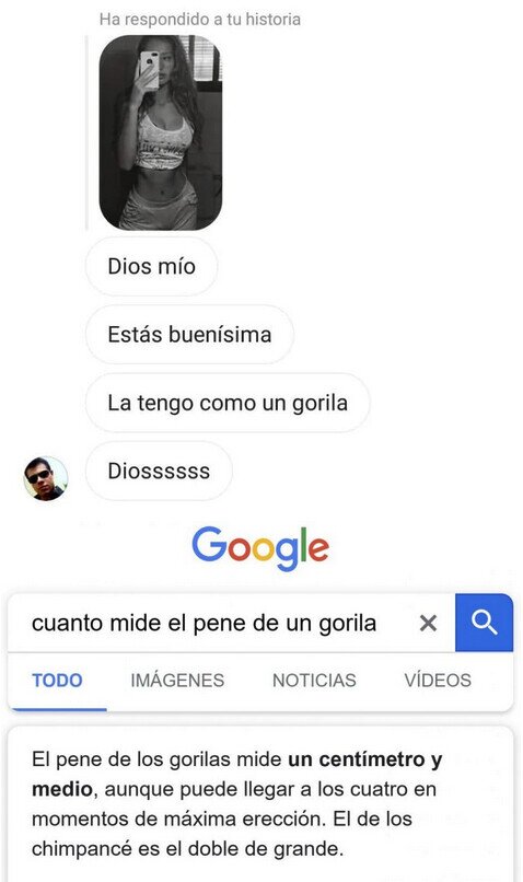 Meme_otros - La importancia de saber sobre animales