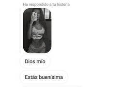 Enlace a La importancia de saber sobre animales