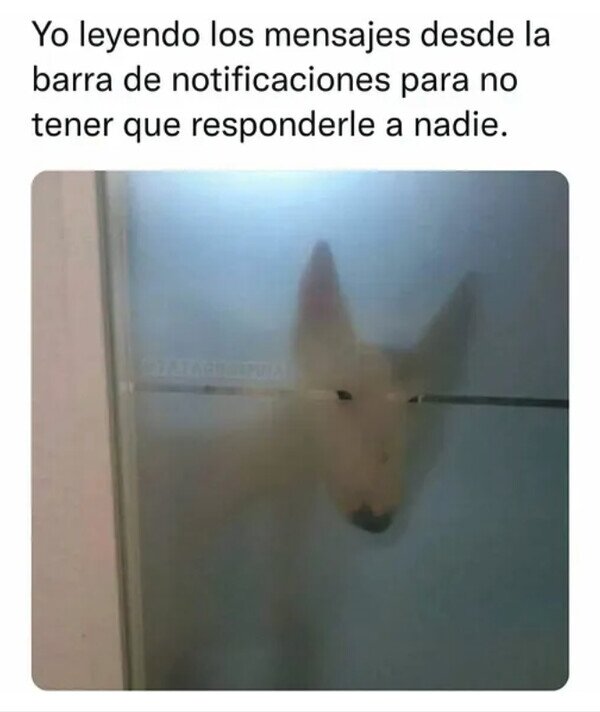 Otros - Me entero sin estar conectado