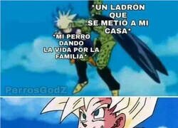 Enlace a Se lo mira tranquilamente