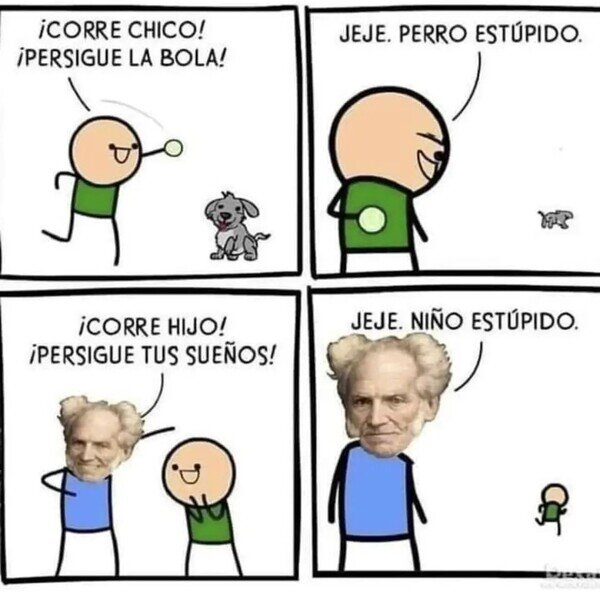 Meme_otros - Maldito Schopenhauer