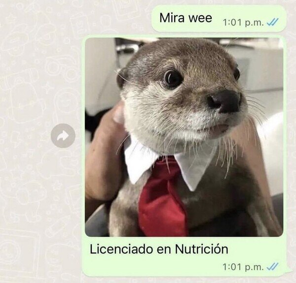 Meme_otros - La tontería del día