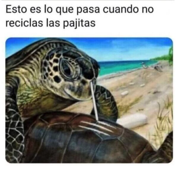 Meme_otros - No dejes que esto sigo ocurriendo en los mares