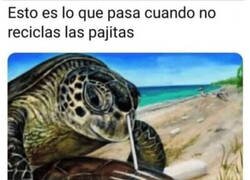 Enlace a No dejes que esto sigo ocurriendo en los mares