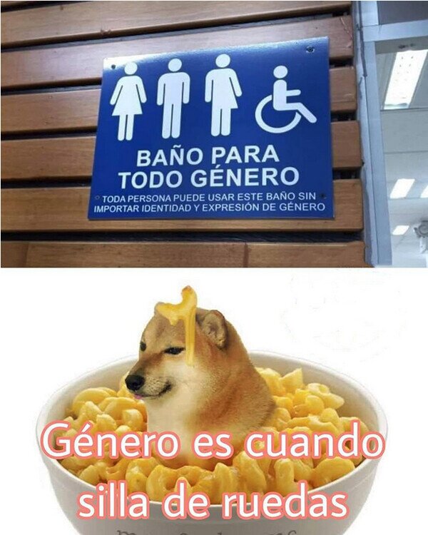 género,baño,silla,ruedas