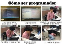 Enlace a La vida del programador