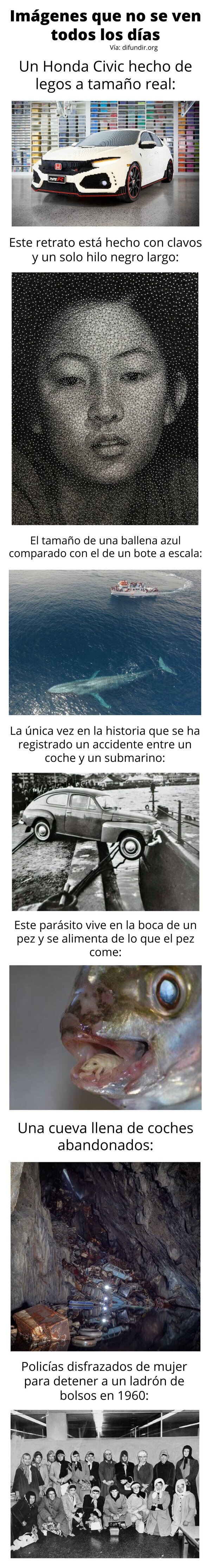 Meme_otros - Imágenes que no se ven todos los días