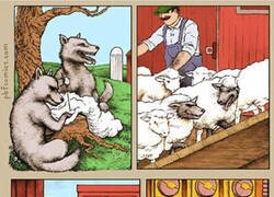 Enlace a No les salió bien la jugada