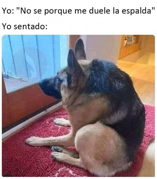 Meme_otros - No cuido mi espalda