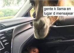 Enlace a ¿Por qué se entrometen así en mi vida?