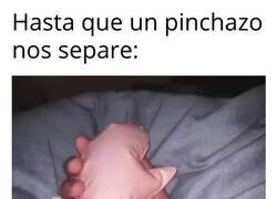 Enlace a Estoy en una relación hinchable... digo estable