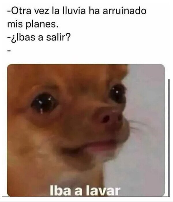 Meme_otros - Planes de persona mayor