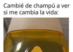 Enlace a No más lágrimas