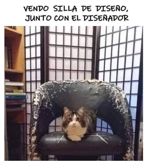 Meme_otros - Harto de que 'rediseñe' mi casa