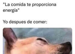 Enlace a Caigo rendido