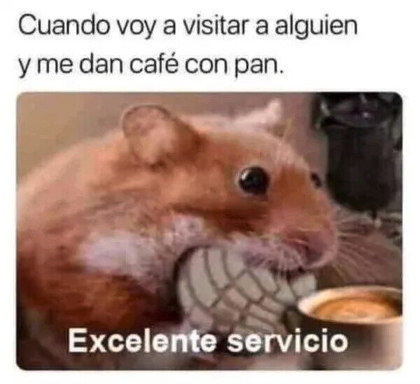Meme_otros - No pido mucho