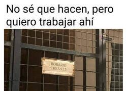 Enlace a Y espero que hagan descanso