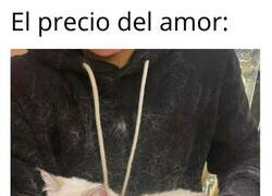 Enlace a El coste que pago