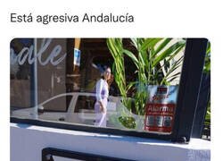 Enlace a La calle que me manda callar