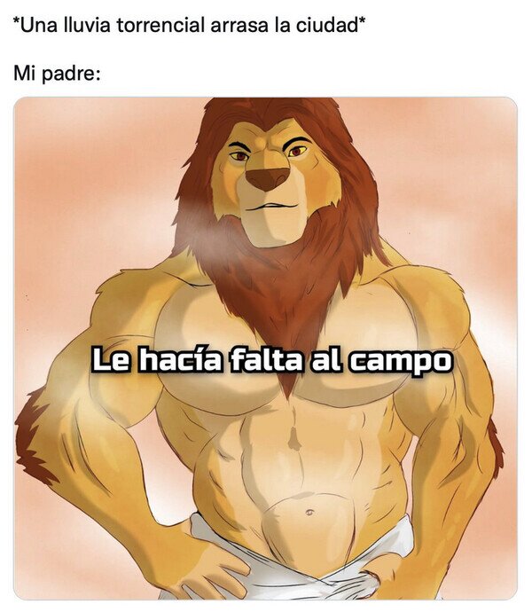 Meme_otros - Si tú lo dices, papá...