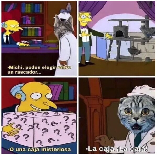 Otros - Los gatos no tendrían dudas