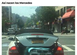 Enlace a El milagro de la vida