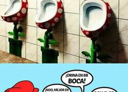 Enlace a Bastante turbio