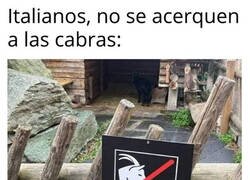 Enlace a Prohibido
