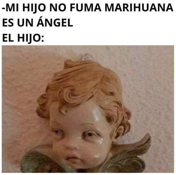Meme_otros - Un ángel caído del cielo