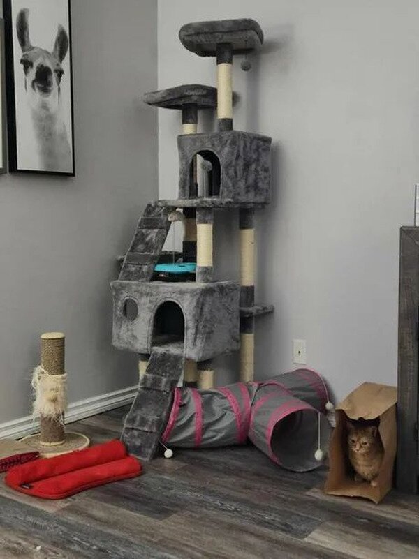 Meme_otros - Nada me sorprende en esta imagen