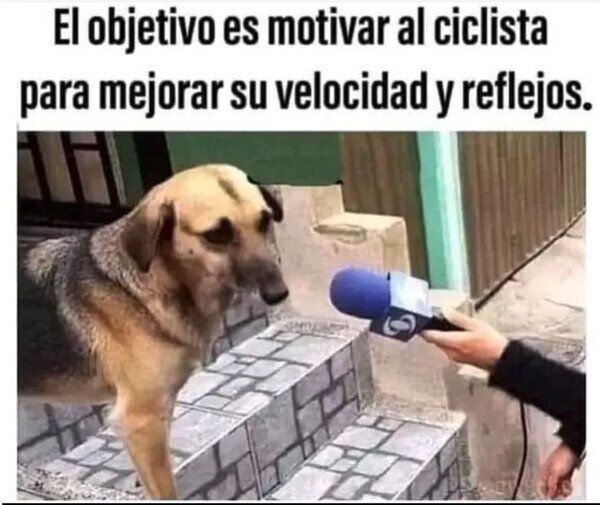 Otros - Los persigue para que mejoren