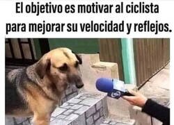 Enlace a Los persigue para que mejoren