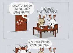 Enlace a No te puedes fiar