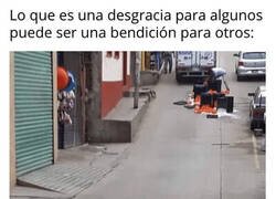 Enlace a Fue un buen día para el perrete