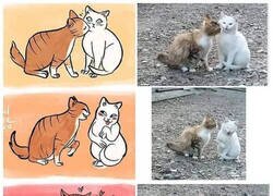 Enlace a Son tan adorables