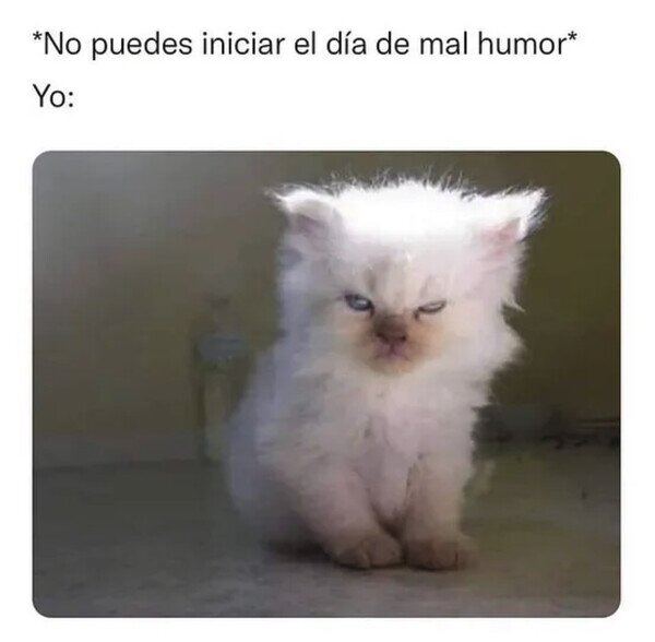 Otros - Los lunes es obligatorio